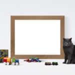 toys for cats