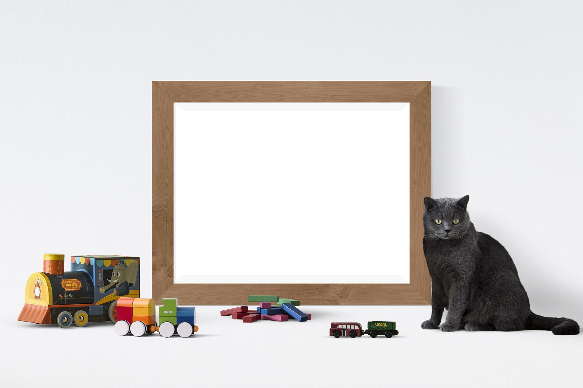 toys for cats