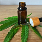 CBD oil in bottle