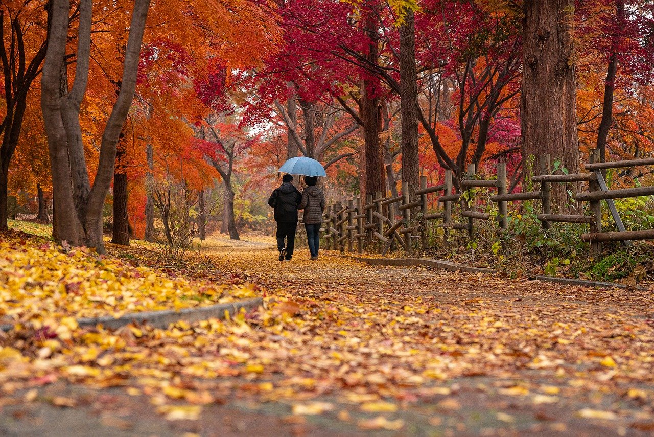 fall